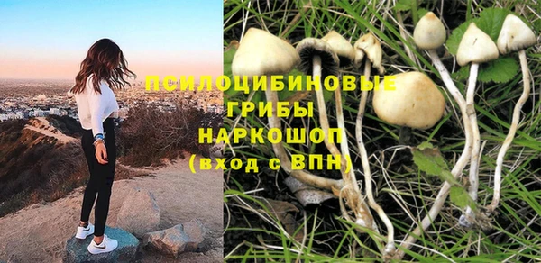 спиды Нефтекумск
