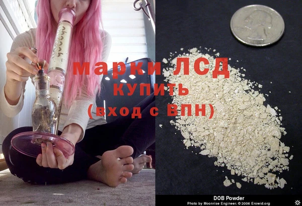 дживик Надым