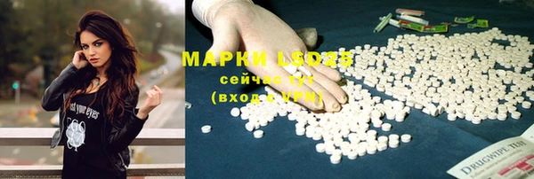 спиды Нефтекумск