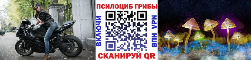 мориарти какой сайт  Сурск  Галлюциногенные грибы мухоморы 